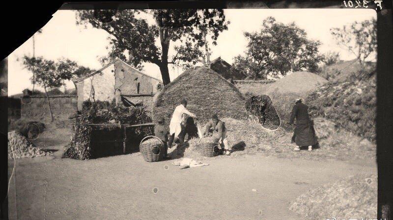 日军日记：*安妇慰**不服从管教，我很愤怒，用*刀刺**插入她的*体下**