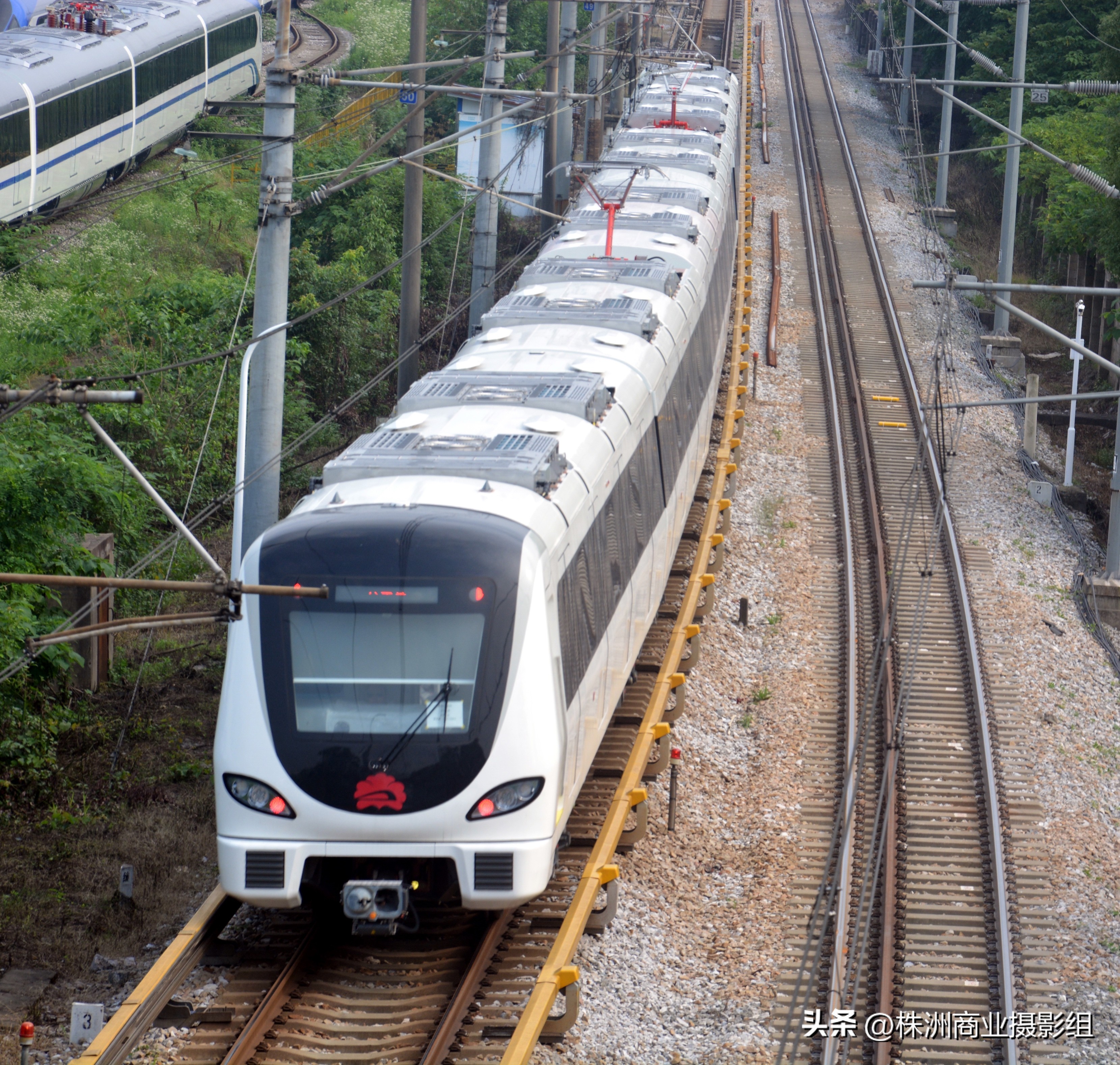 再小的个体，也值得被记录“好厨帮”抗疫手机摄影赛来稿选刊12