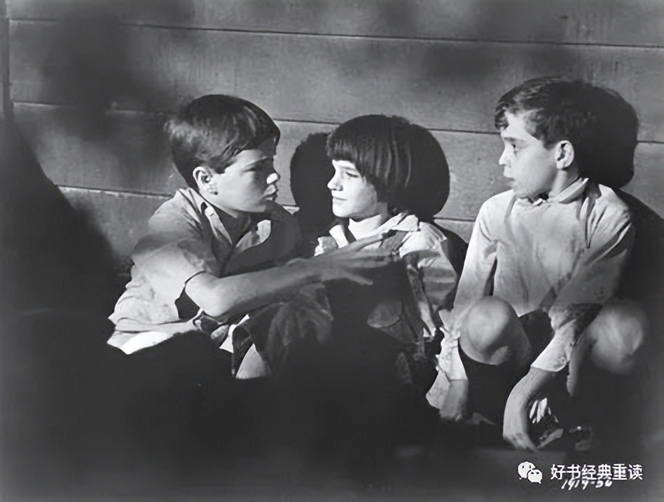 杀死一只知更鸟在于内心的坚守,杀死一只知更鸟每日感悟