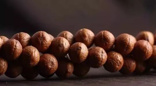 凤眼菩提眼里有坑,凤眼菩提哪年最疯狂