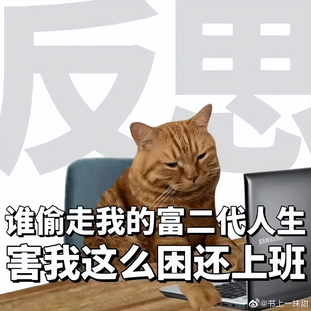 指甲抓头皮有白色的泥,头皮总能抠下来白泥