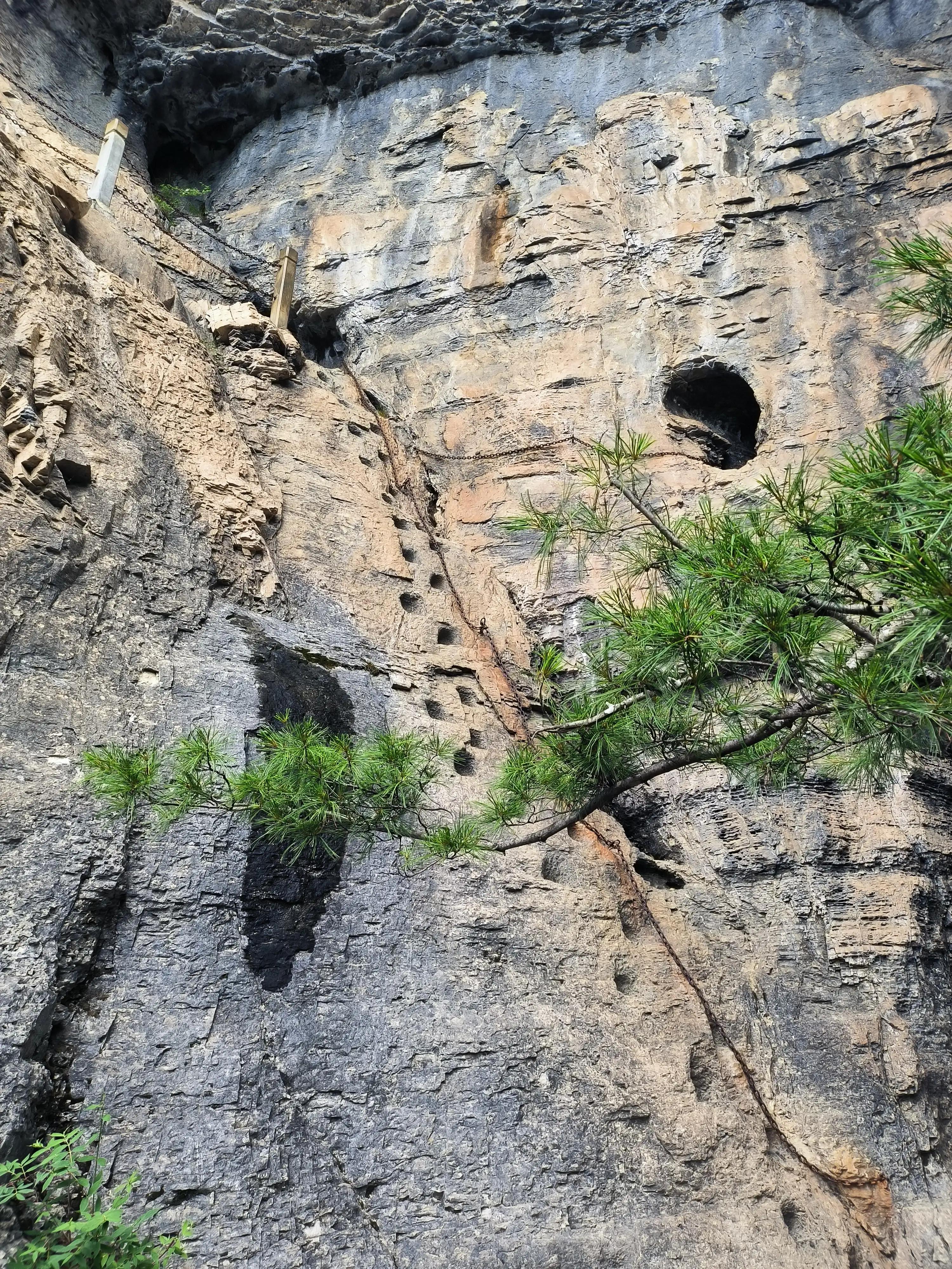 武汉到神农架高铁开通了吗,武汉到神农架汽车多长时间