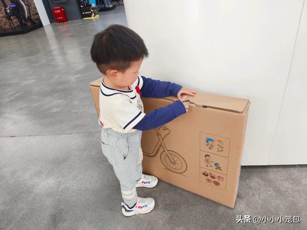 给孩子选哪个牌子的平衡车,3岁平价儿童平衡车怎么选