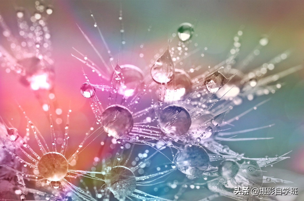 用手机拍微距如何设置参数,苹果手机怎么拍微距清晰