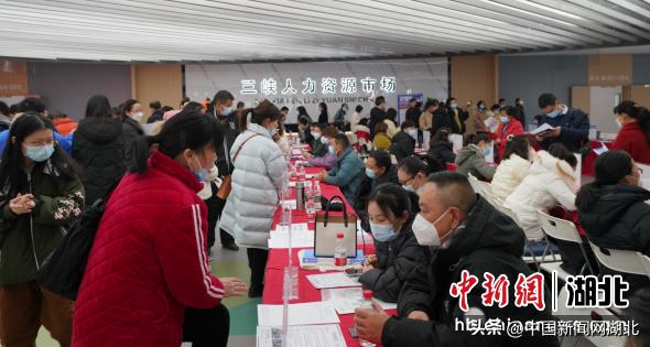 湖北宜昌有什么好的工作,宜昌就业最新政策