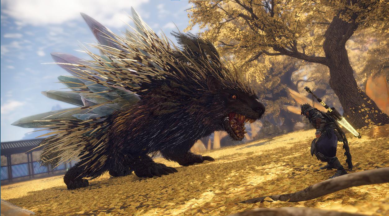 避免踩雷被坑攻略,避免踩雷几款入门级精华