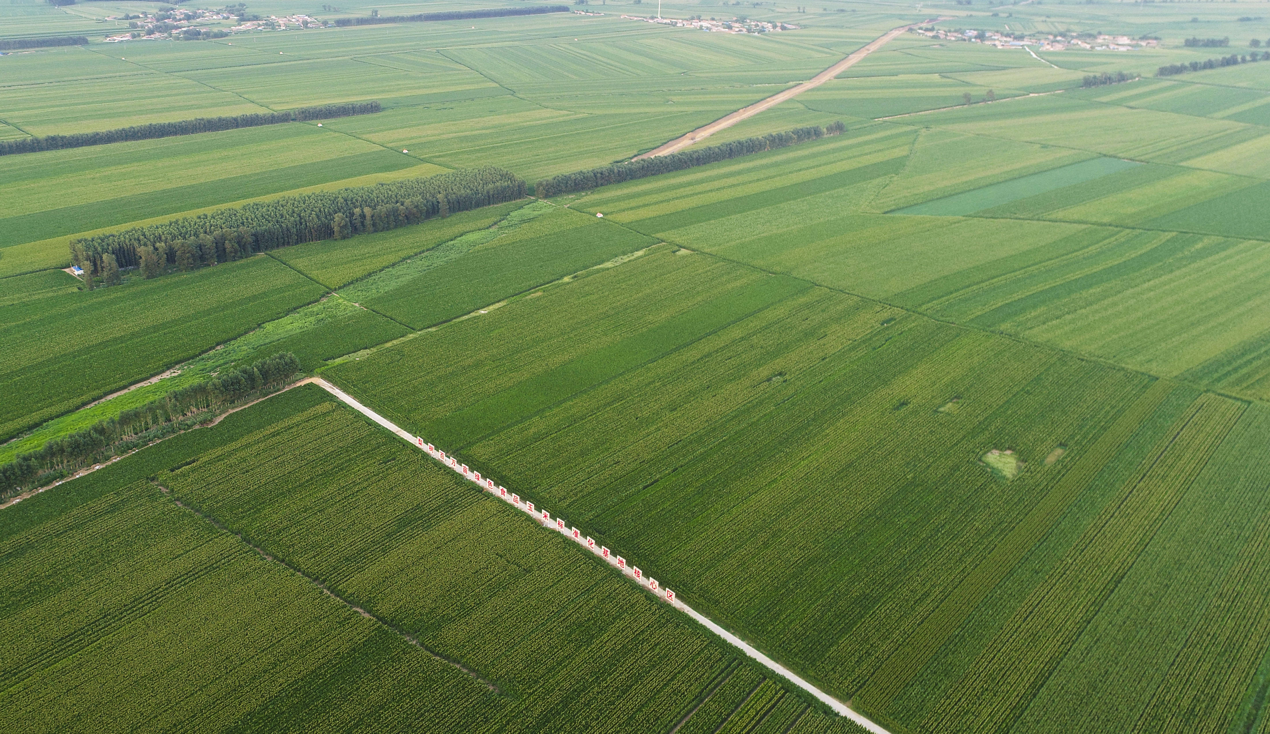 淄博并不只有烧烤,淄博市不止有烧烤