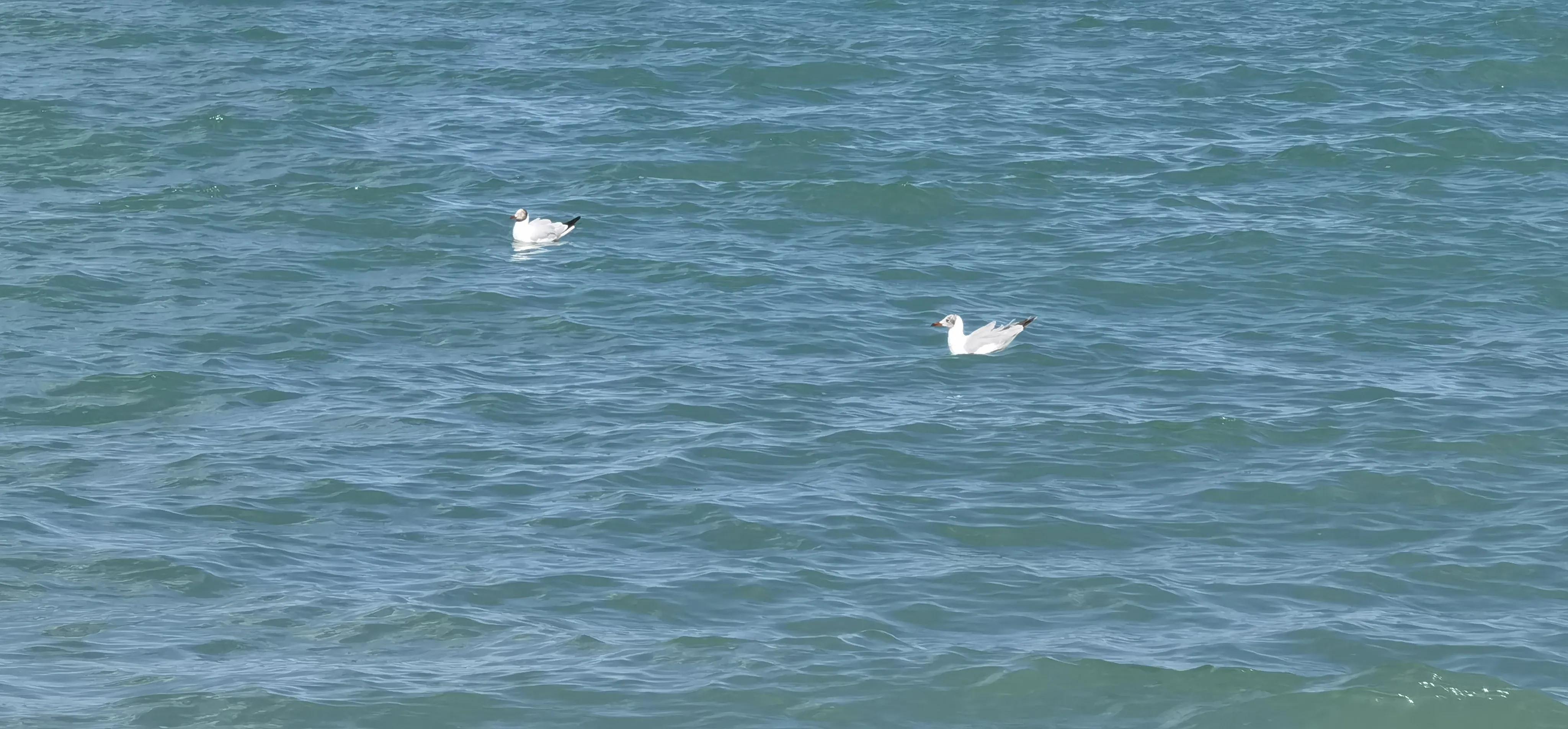 青甘大环线之旅~网红U型公路、大柴旦翡翠湖、恶魔之眼