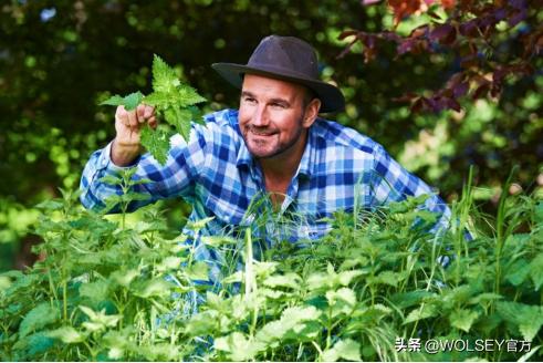 行走的人形音箱,电子卫星实时精准导航器