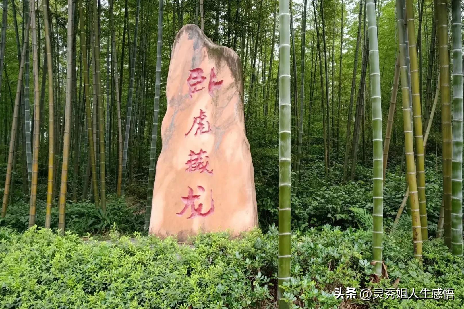 川南竹海,川南三大景点排名