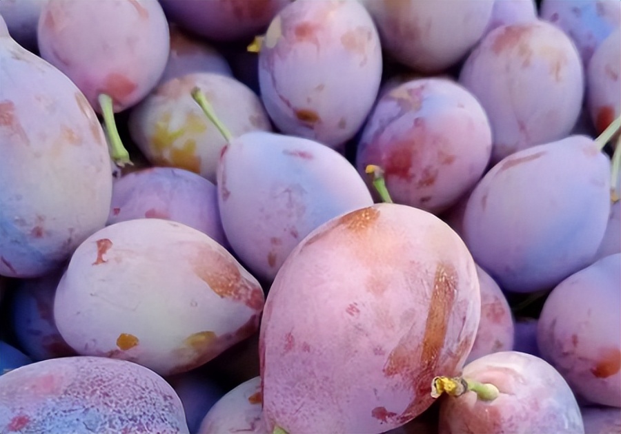 投资1万每天赚100,投资1万每天挣300的生意