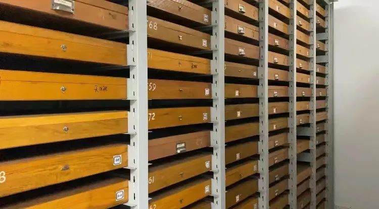 浙大博物馆十大镇馆之宝,浙大考古与艺术博物馆