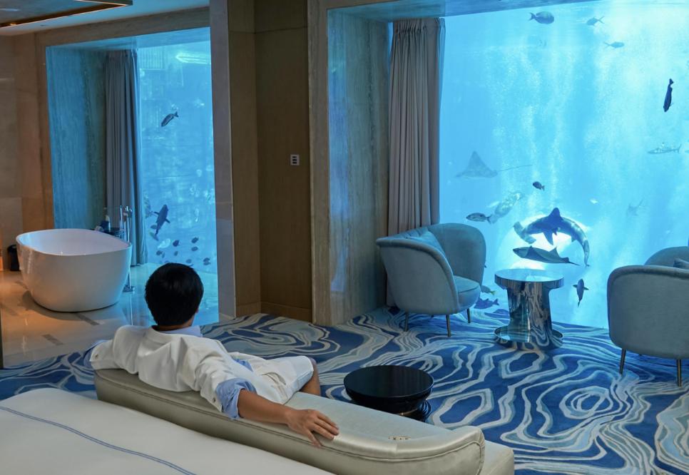 一年睡300多张床，年入50万，潘那白：躺着就有钱赚的日子，真爽