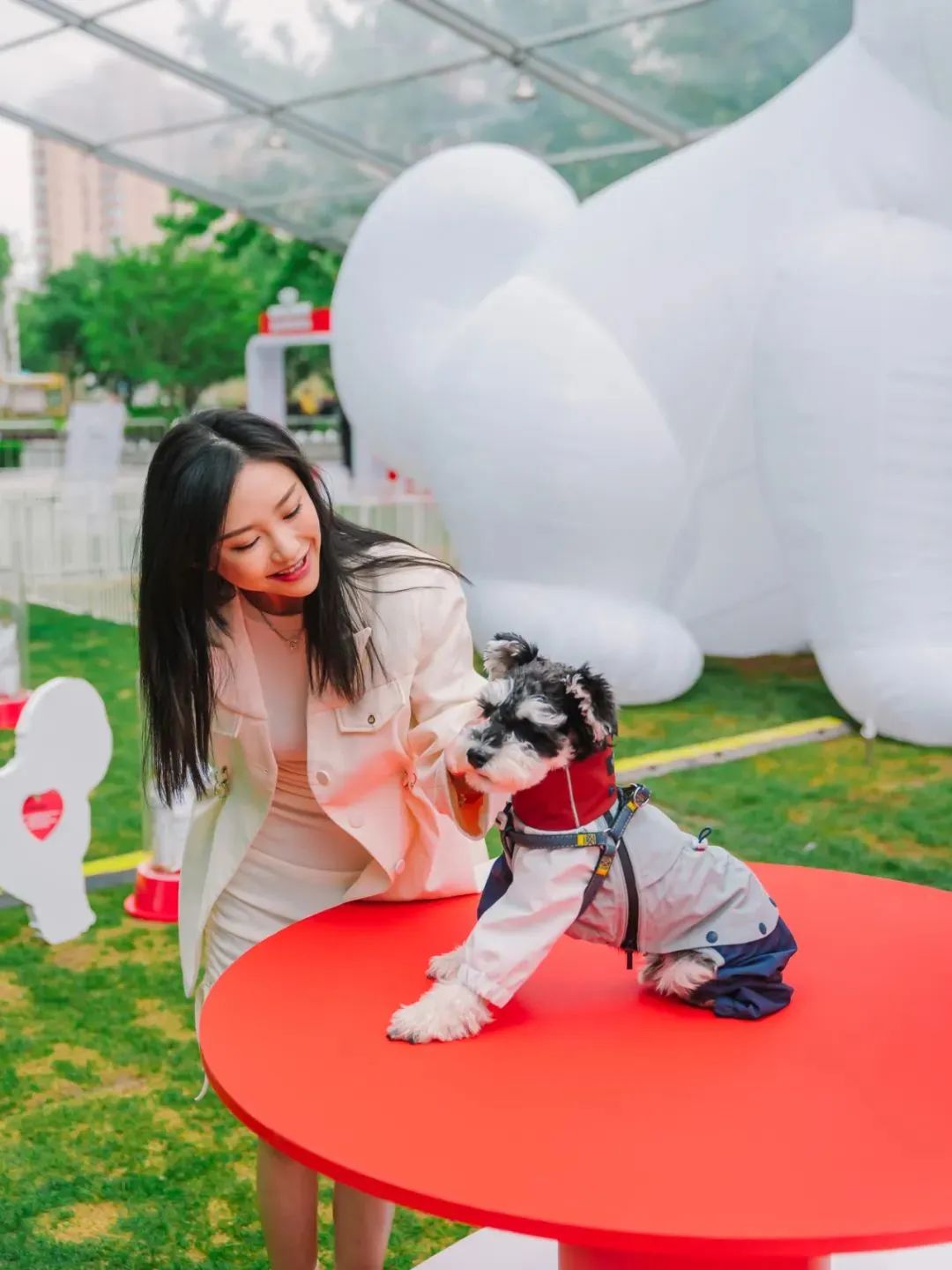 市区100平米宠物游乐园,宠物游乐场室内