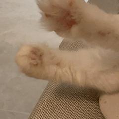 贵港活动礼品,贵港9.9春节特惠