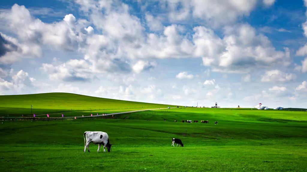 绿草自然风景图片,惊艳高清山水花草风景图片