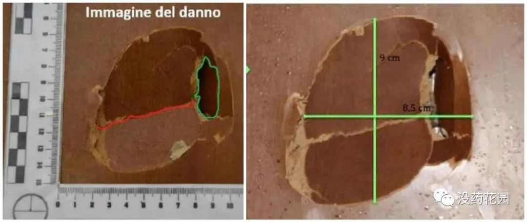 警察调查20年失踪的女子,花季少女失踪七年后发现被害