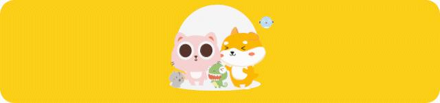 猫咪呕吐铲屎官的反应,猫咪总想呕吐但是吐不出来怎么办