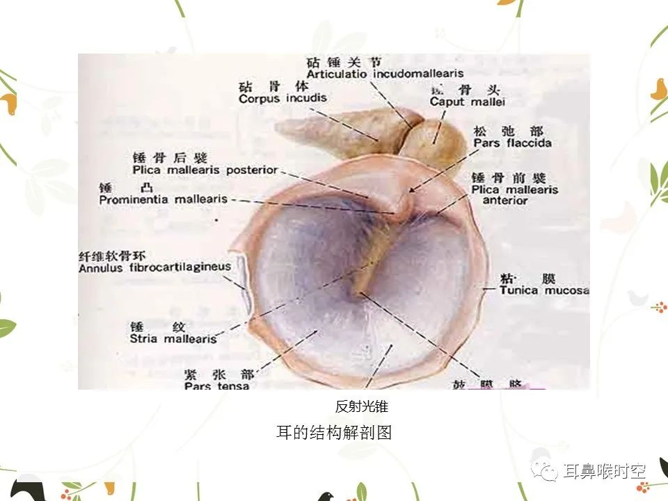 鼓膜可见穿孔,鼓膜穿孔听力下降能恢复吗