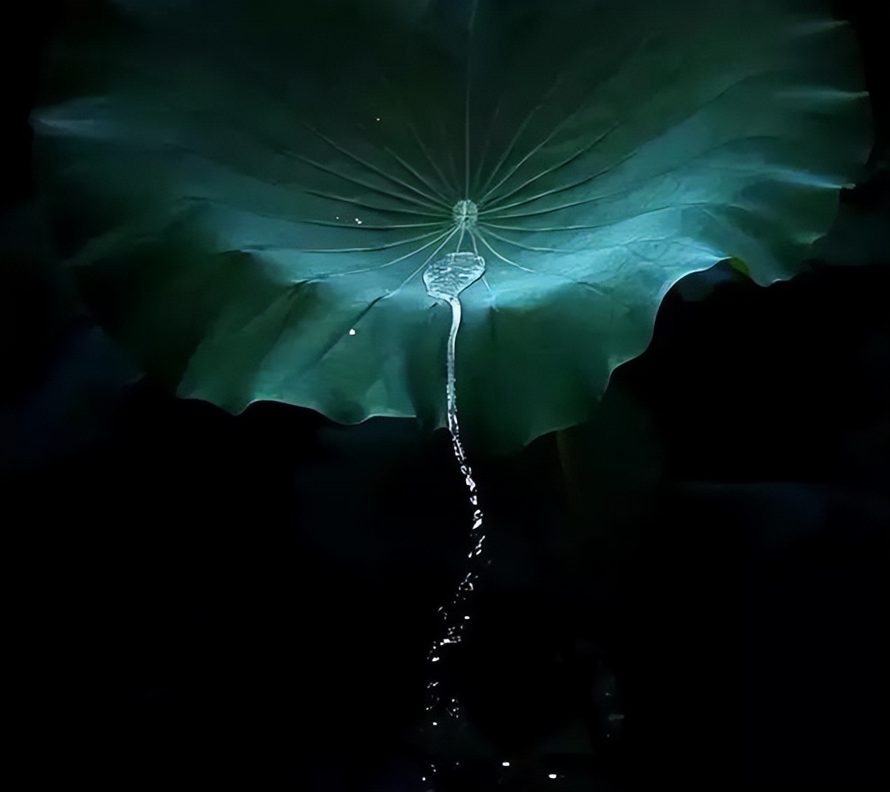 赏经典诵读品诗意人生作文,上善若水厚德载物简介