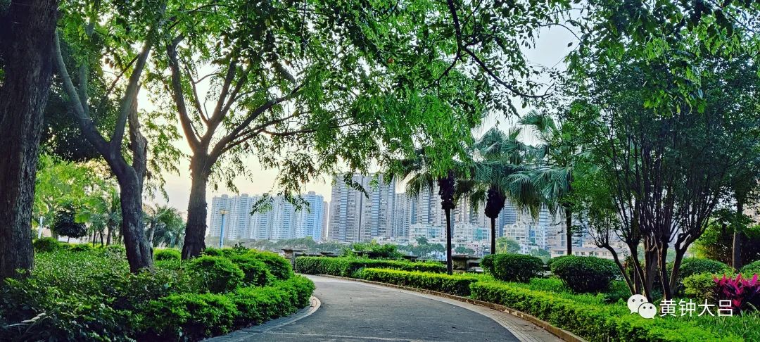 买学区房和陪伴孩子哪个重要,重视子女教育