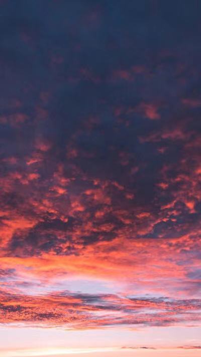 狮子座不好惹的原因有哪些,十二星座狮子座最不好惹