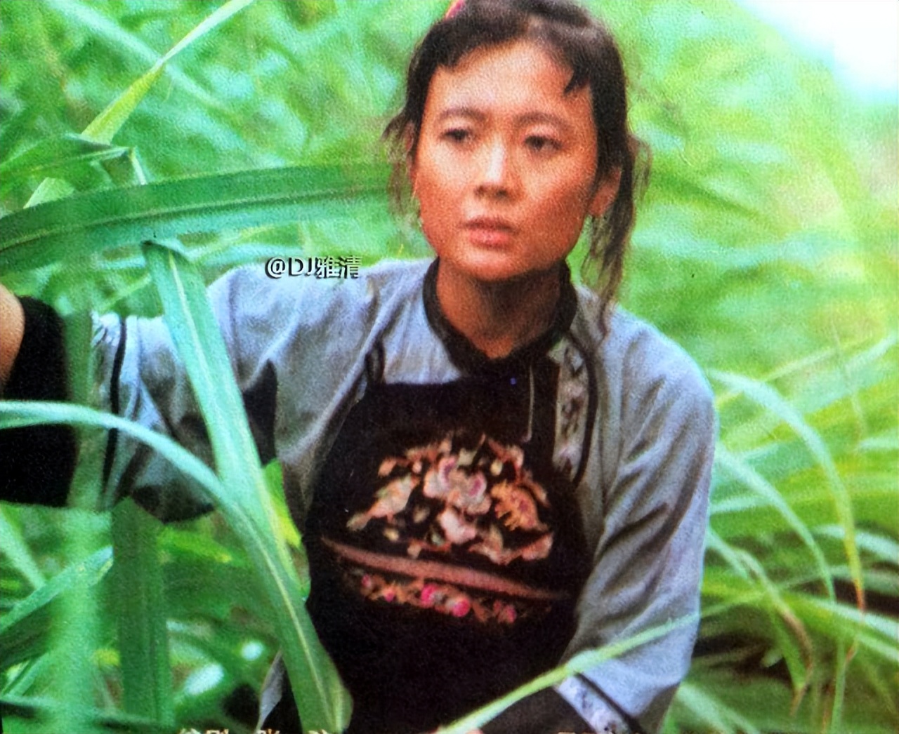 最佳女演员金鸡奖颁奖词,刘晓庆奚美娟金鸡影后