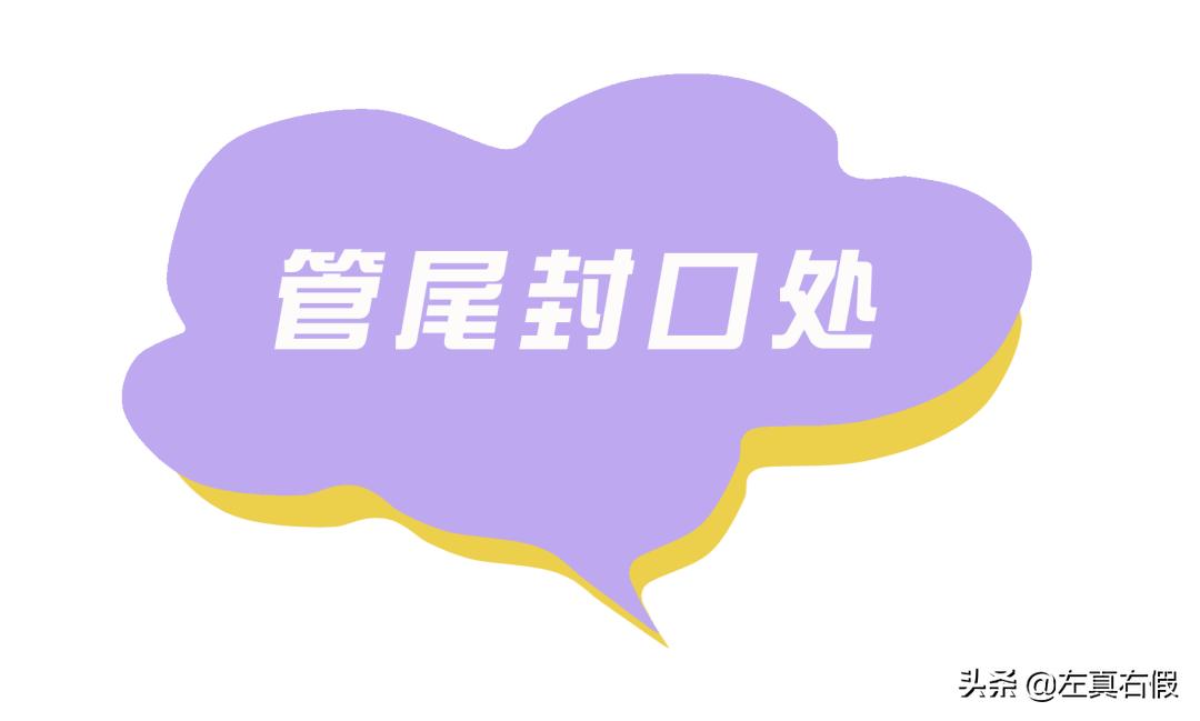 兰芝水光修颜隔离乳真假,兰芝唇膜新版真假鉴别图