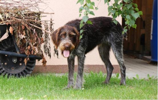 澶╁噳浜嗗コ鎬у鍠濆洓瀹濇堡,澶忔棩蹇呭鍏荤敓鍥涘疂