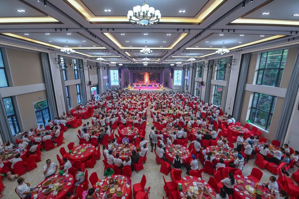 千万工程塑造美丽乡村新华社,千万工程助力乡村振兴事例