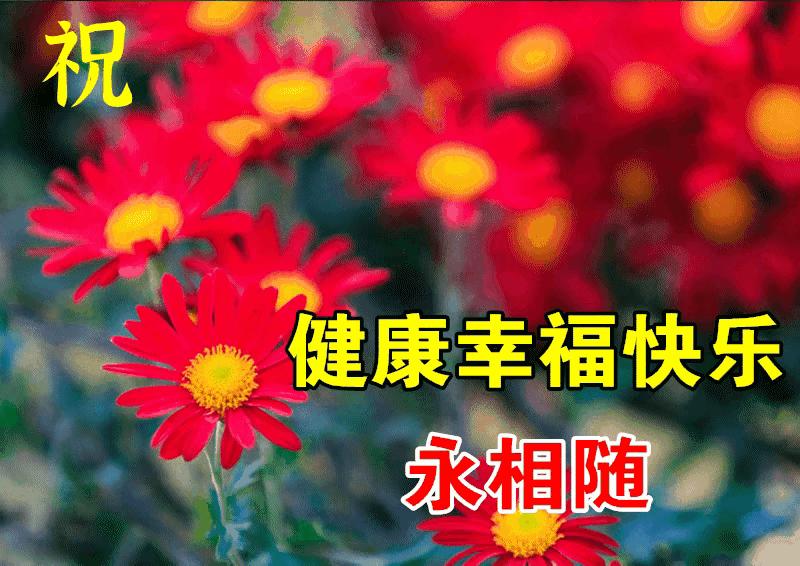 2023年02月27日星期一农历:癸卯年【兔年】二月初八八九第5天