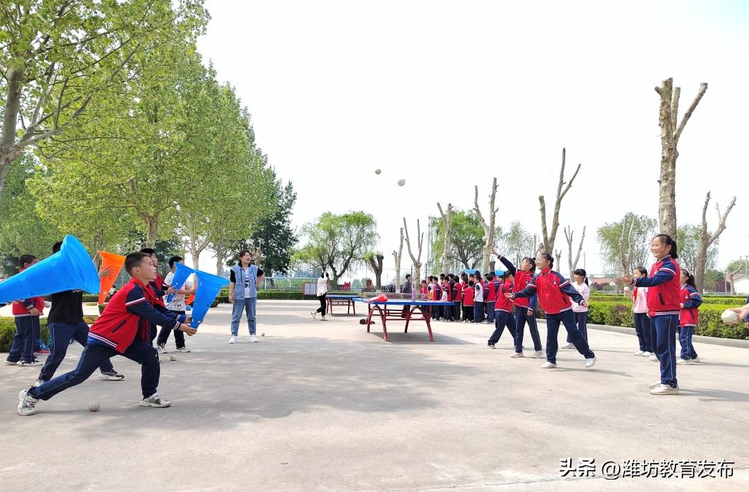 潍坊校园新闻播报,新闻周播报完整版