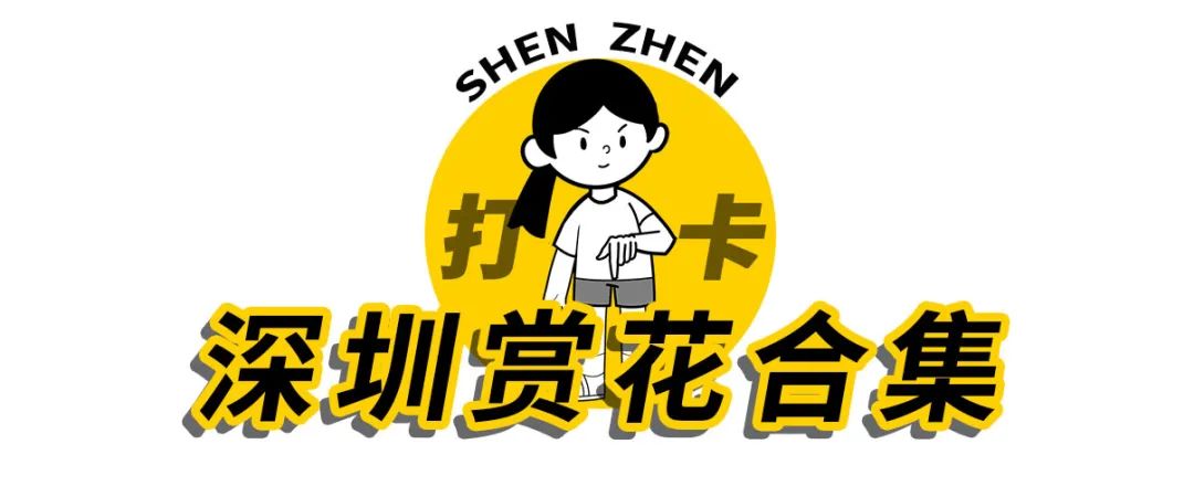 深圳3月14个赏花胜地全部免费,深圳清明节踏青赏花好去处