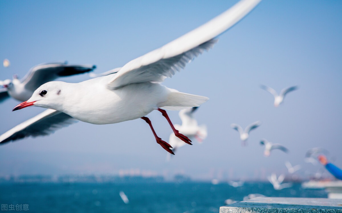 昆明是一个不想离开的城市,昆明是一座来了就不想离开的城市