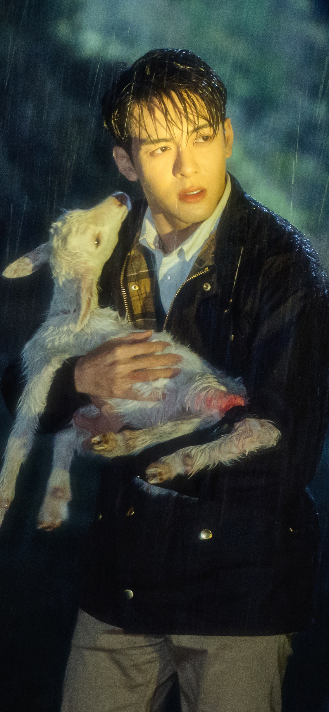 2023年手机壁纸,2023年最新款超清手机壁纸