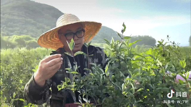 95后创业小伙回老家,95后小伙回国创业