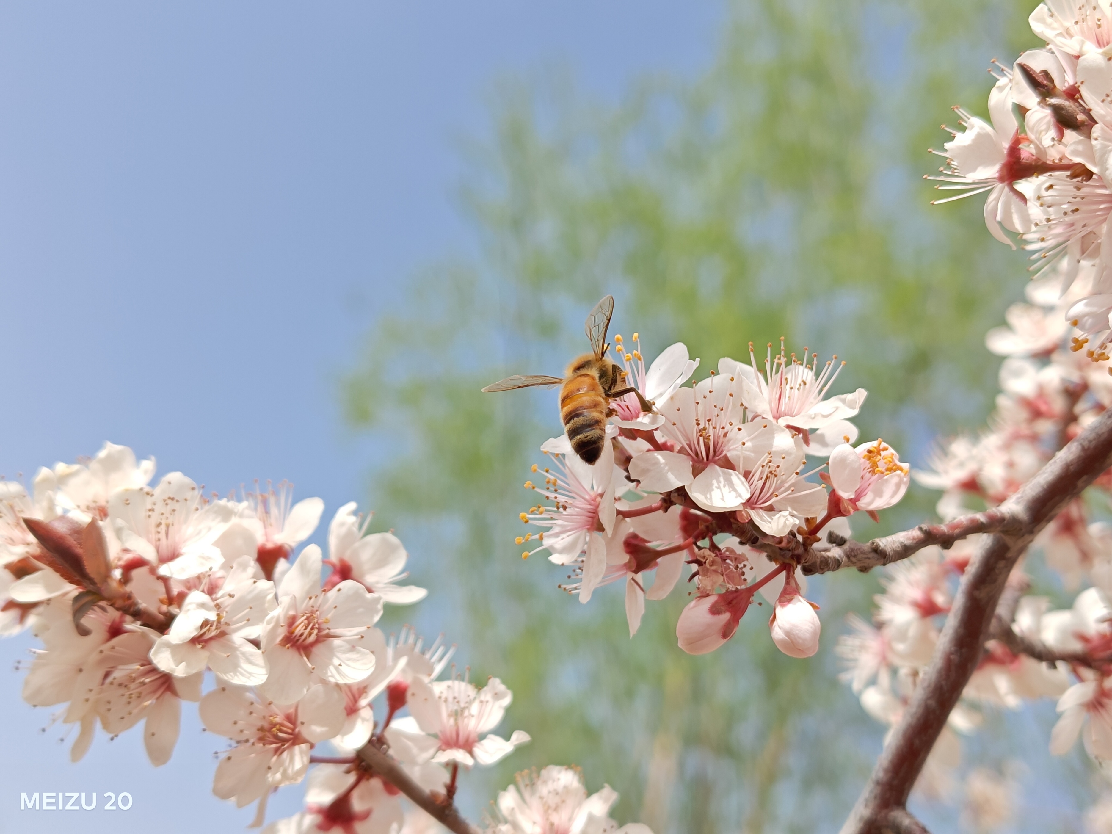 魅族20上手体验,魅族20个人体验