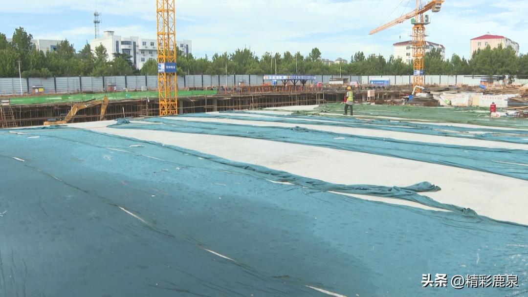 撸起袖子加油干成绩单,撸起袖子加油干努力工作