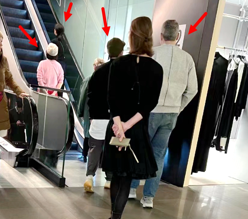 60岁林青霞素颜近照曝光,68岁的林青霞近照曝光她又变了