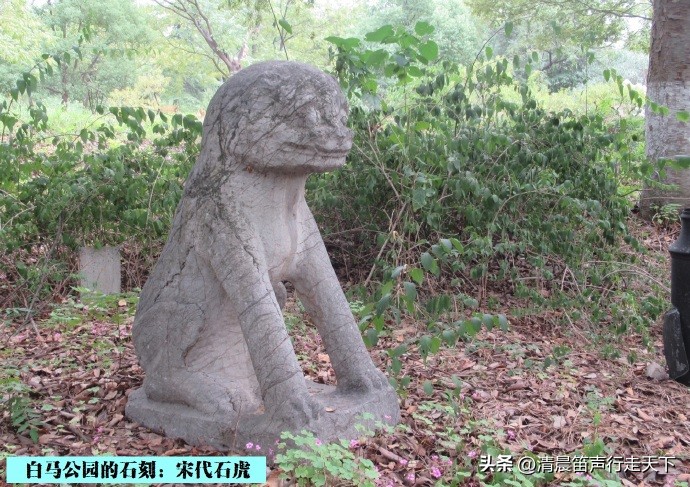 白马公园白马石刻朝代,公园石刻精品欣赏