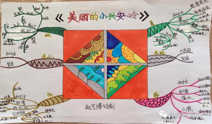 教你用思维导图学语文,语文思维导图20课小兴安岭