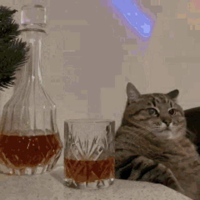 几十块的「雪糕刺客」让人心痛,几百块一只的毛绒玩具抢着买单