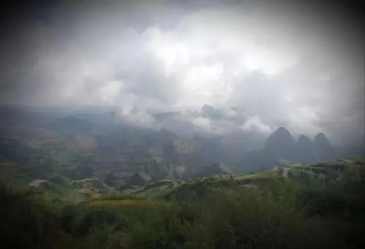 【渭川文苑】山岭松林如海山含翠黛之景—武山盘龙山