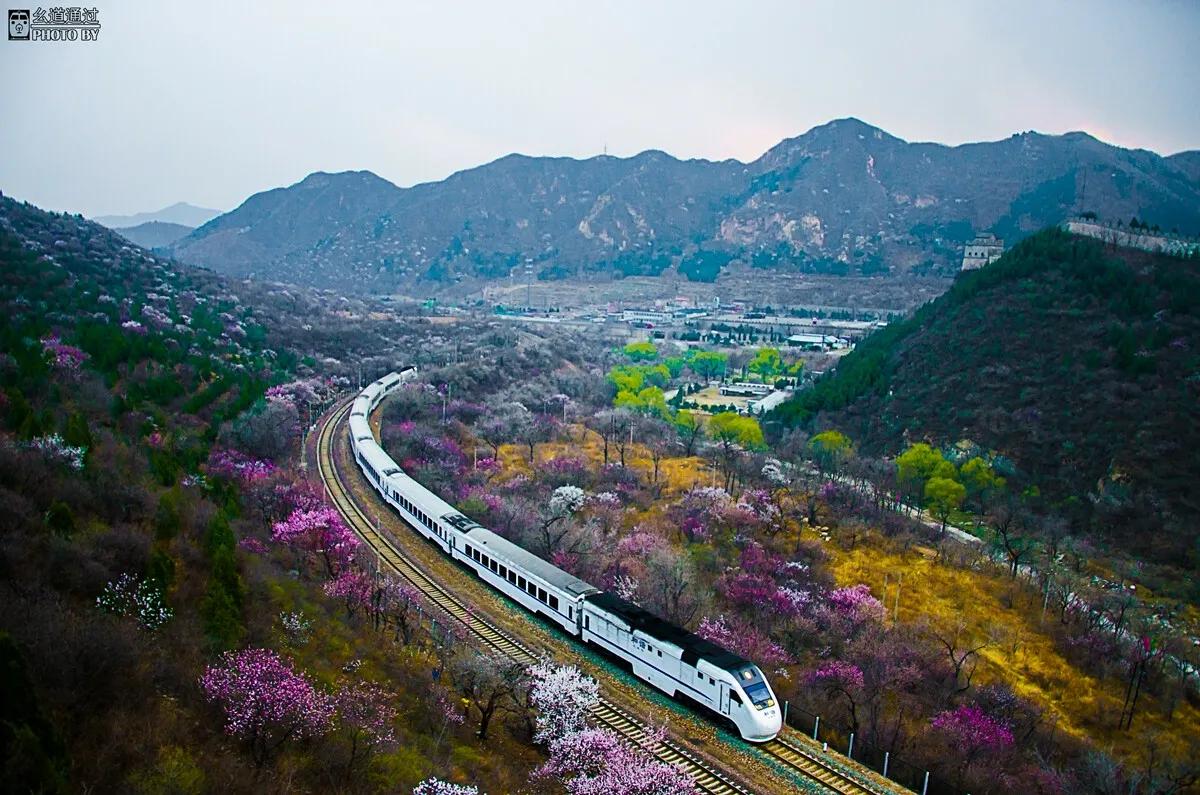 12306火车票怎么购买下铺,12306预售时怎么直接买下铺