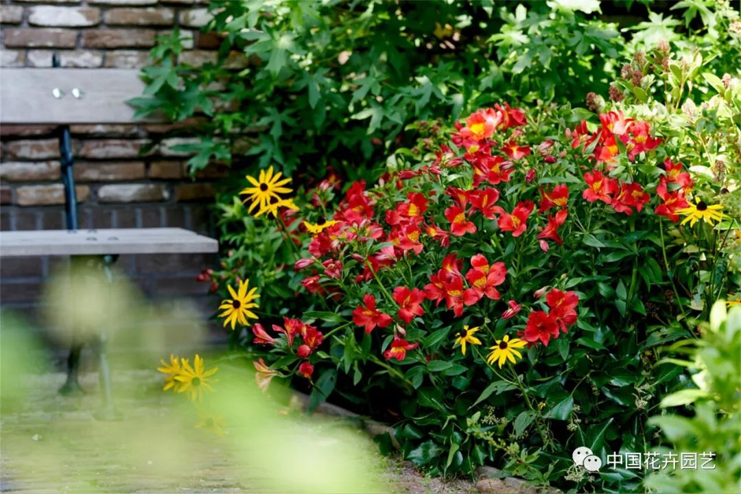 鑺卞崏鍝佺灞曠ず,鏂颁紭鑺卞崏鍝佺灞曠ず