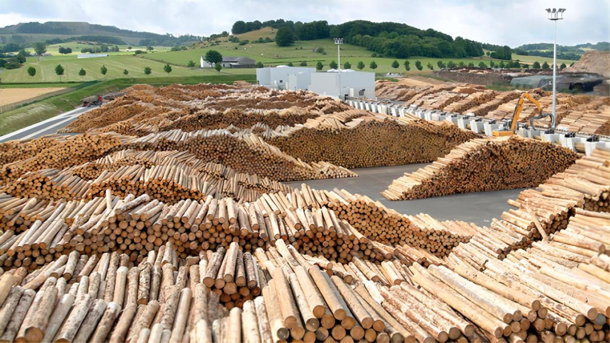 怎么样辨别爱格板,爱格板w1000真假