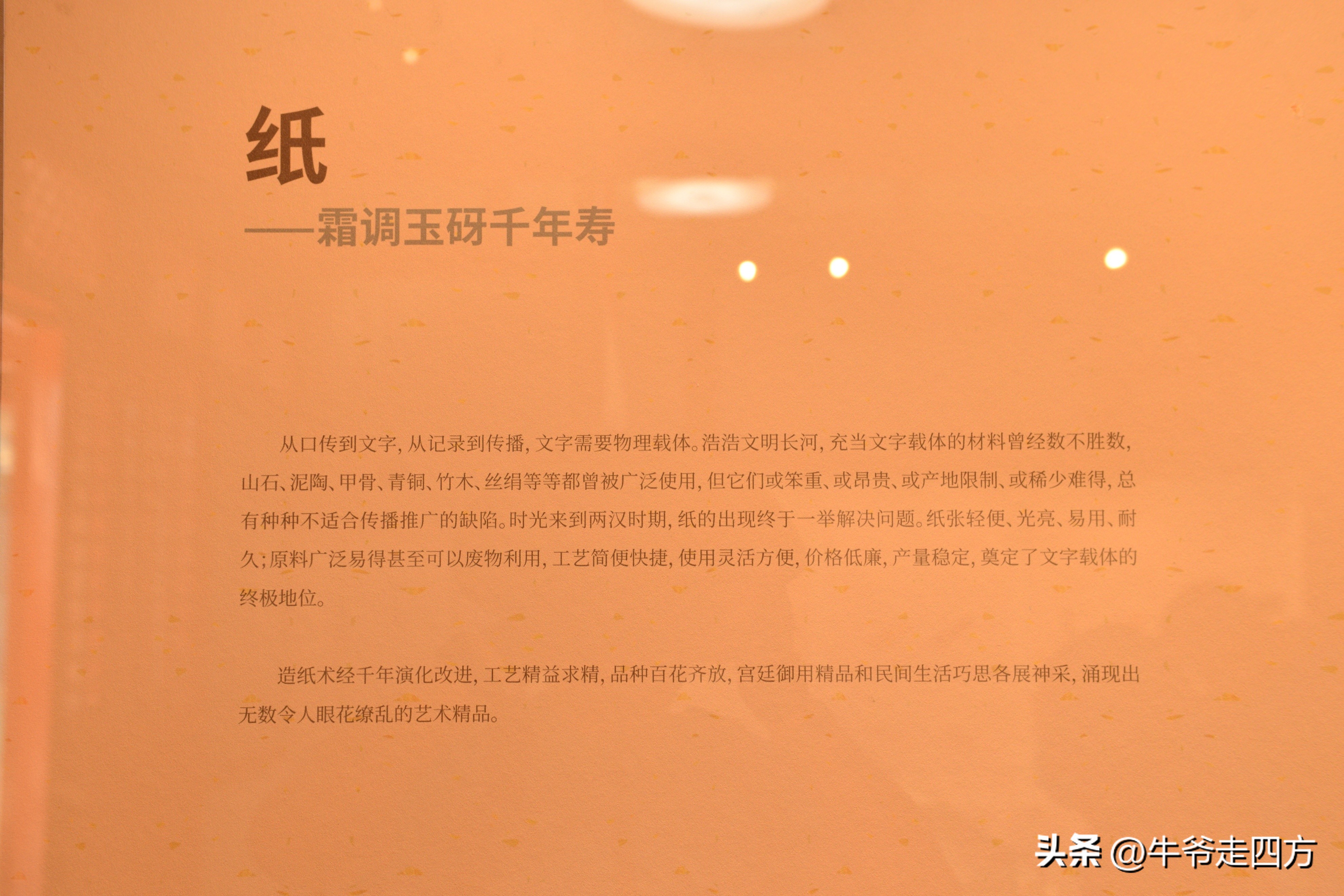 鍖椾含閲戠煶鍗氱墿棣嗗簡浜戝闂ㄧエ,閲戠煶鍗氱墿棣嗗簡浜戝