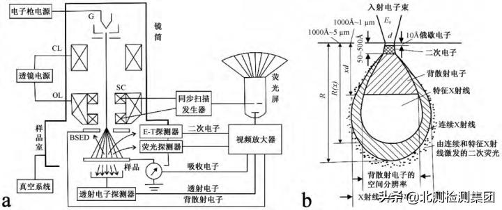 srd扫描电镜图怎么分析,扫描电镜能谱分析实验步骤