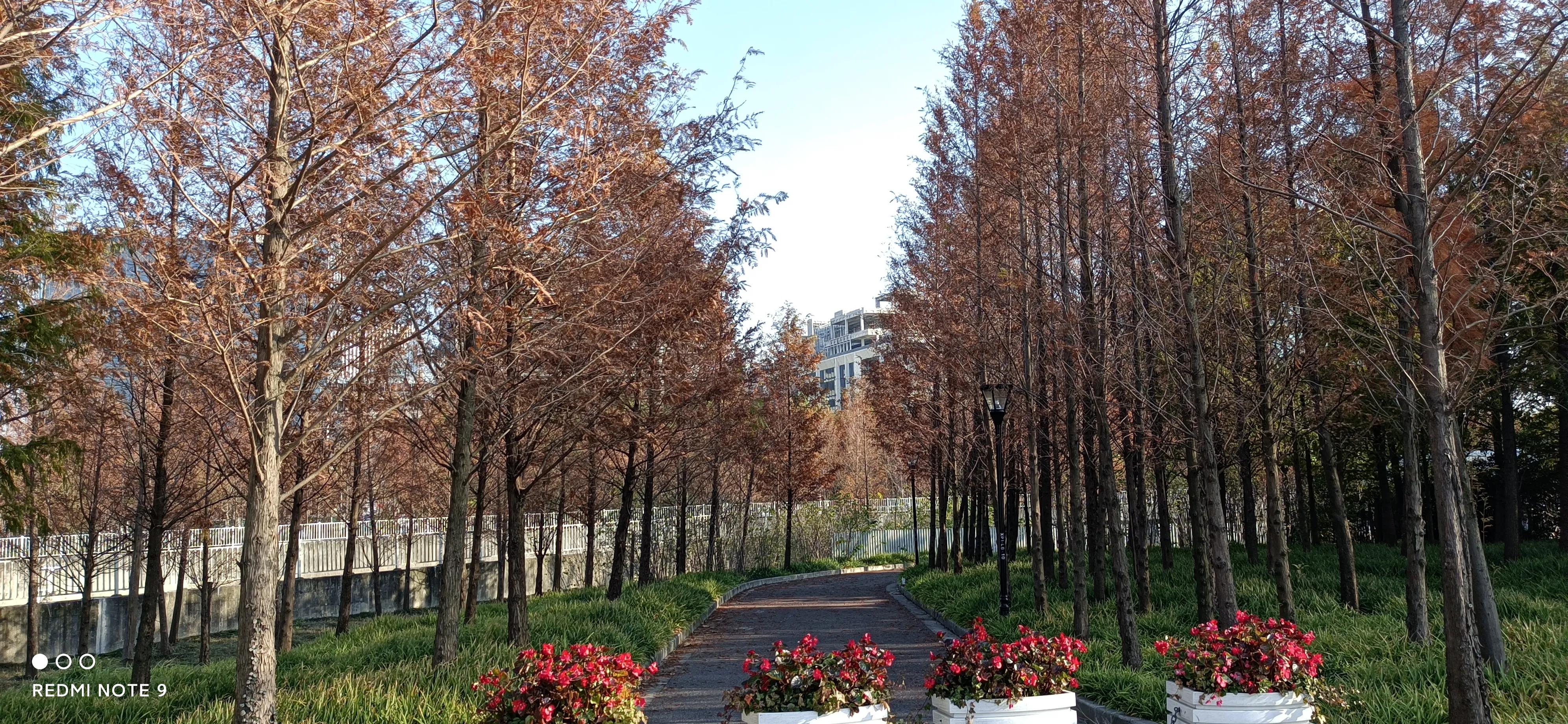 浦东前滩效果图,上海浦东前滩将开的新楼盘