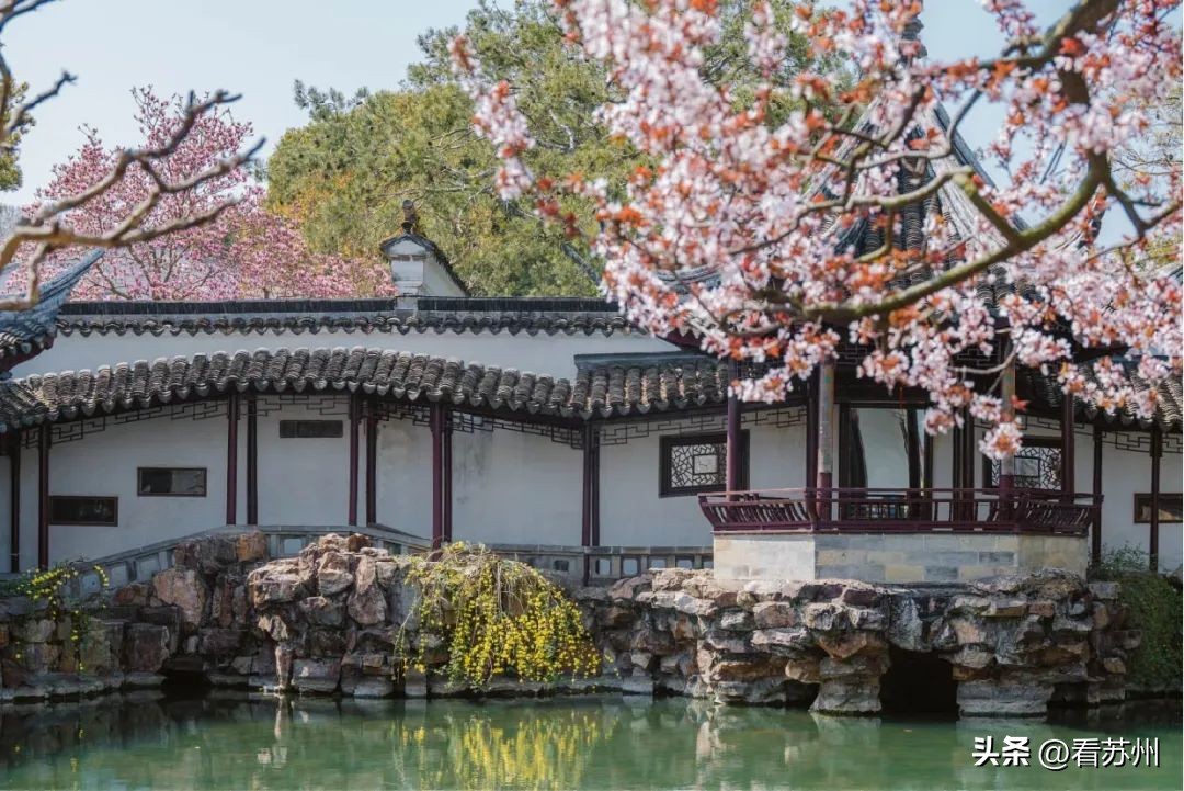 网师园夜花园门票,网师园夜花园演出